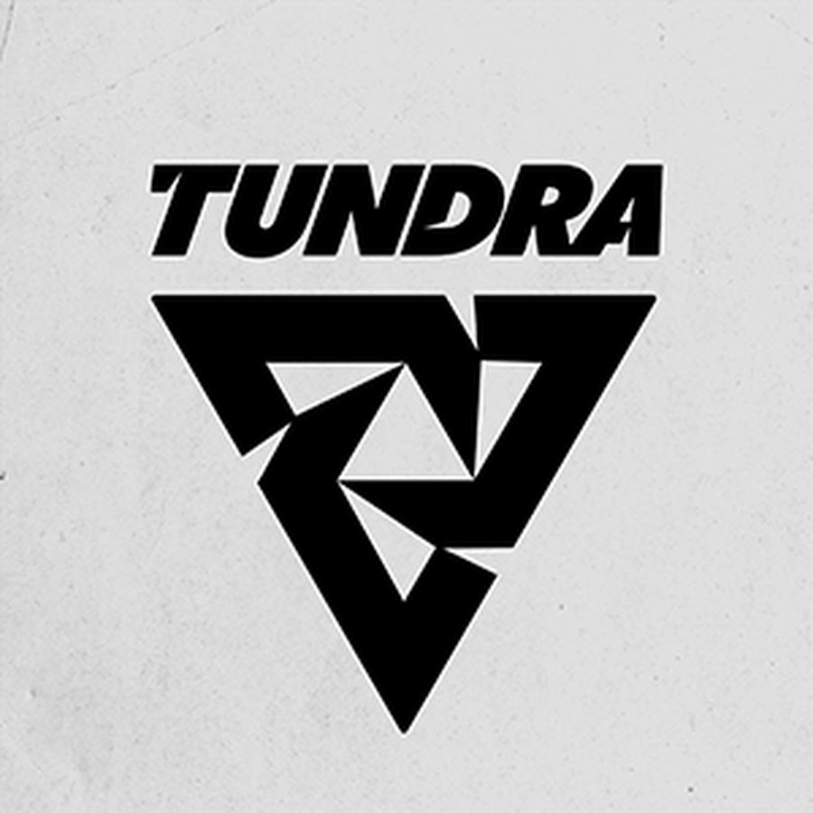 Tundra esports entity. Tundra Dota 2. Тундра еспорт. Тундра команда дота 2. Логотип тундра дота.