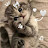 @NovaAhmed-qx4rb