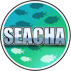 SEACHA