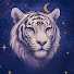 sFtFriIsM5A-channel-avatar-White Tiger Tarot