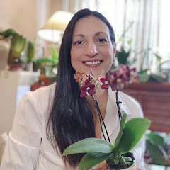 All About Orchids net worth