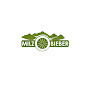 Medical Clinic Villa Thal logo