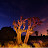 @DeTar62's avatar