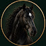 dB6UeDYZig8-channel-avatar-The Horseaholics