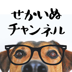 せかいぬチャンネル「世界の犬が教えてくれること」アイコン画像