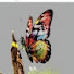 bRozdxi3T4U-channel-avatar-قناة أم أميرة و يوسف 