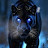 @tigerpower888