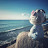 @bm_z1im