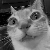 C A T