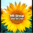 R92MyPVq1YA-channel-avatar-MS Group