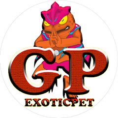 GP-EXOTIC PET