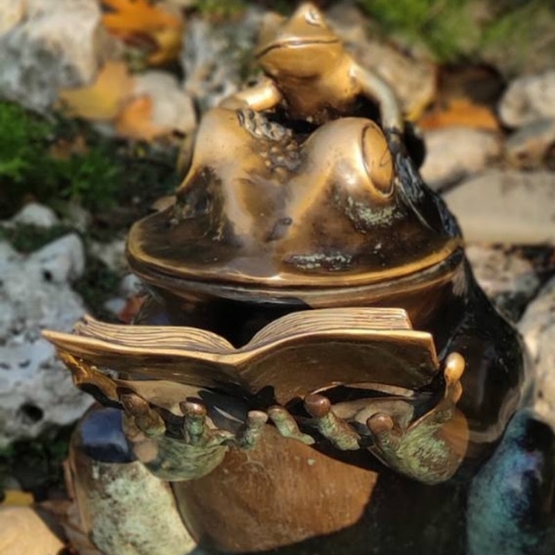 Читання українською / Reading in Ukrainian 