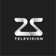 25 channel television
