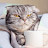 @CoffeeGameMovie's avatar