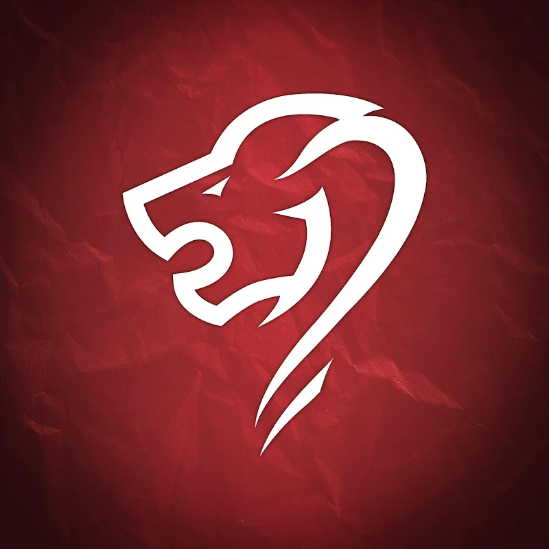 LIONS DE BORDEAUX I Roller Hockey