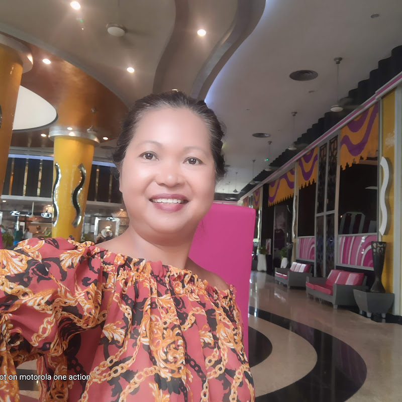 Pinay: Foreign Life In America