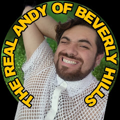 The Real Andy of Beverly Hills Show net worth