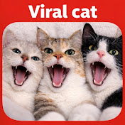 Viral cat