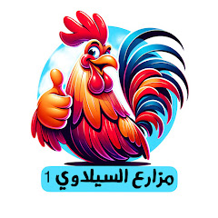 مزارع السيلاوي ١