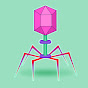 Miniature