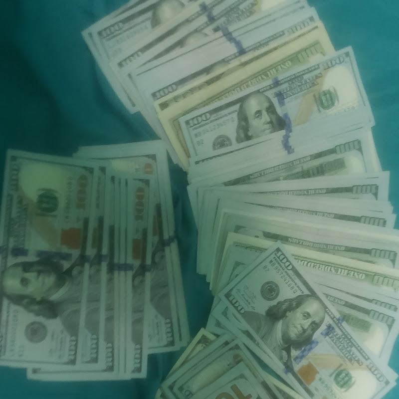 the rookie investor
