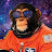 Baboon in Outer Space