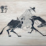 Channel Image