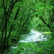 桐山章リラックスチャンネル