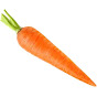 Carrot_4u
