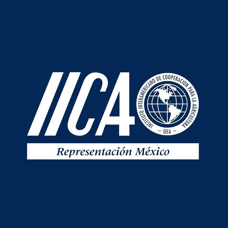 IICA México