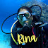 YXwHap8bBuc-channel-avatar-SCUBA GIRL