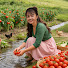 GukK7UYuekw-channel-avatar-Tiểu Vy Daily