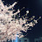 @겨울여름-o7h