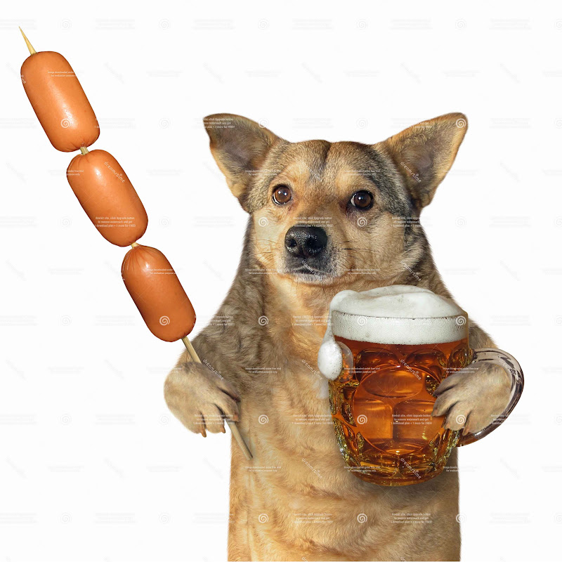 PipDog