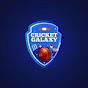 Cricket Galaxy Official  logo