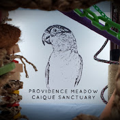 Providence Meadow Caique Sanctuary