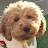 @chaeir2ktvfjdtsdgh