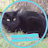 Nrno03QNd6s-channel-avatar-Love Anything Art