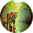 xoJOtIDHDRI-channel-avatar-Royal Sundarban fishing 