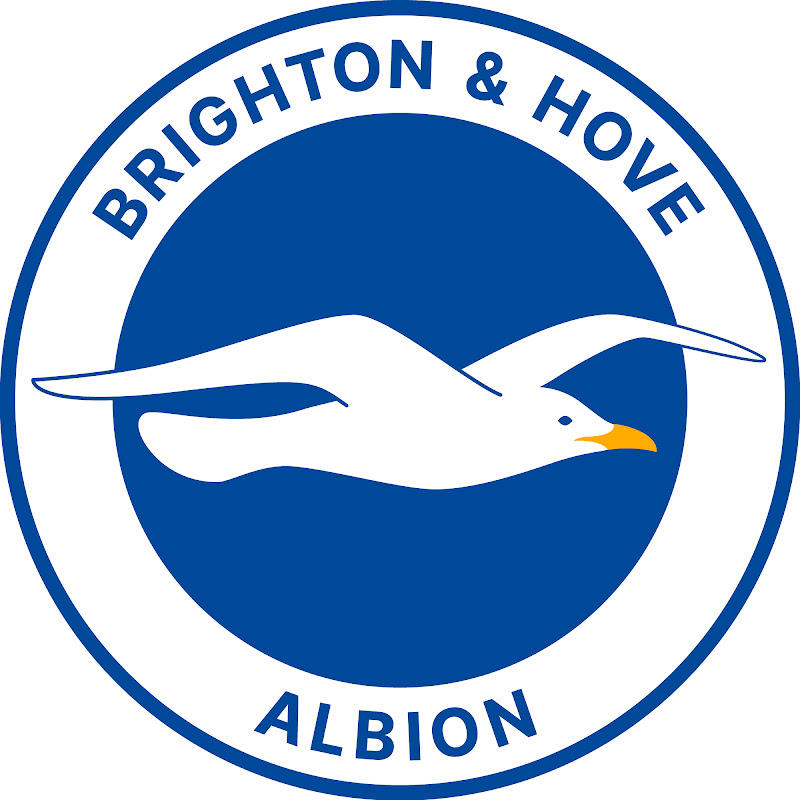 Official Brighton & Hove Albion FC channel logo