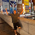 P_Gx7NckOPk-channel-avatar-Nathan Charles