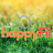 @HappyFil