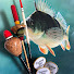 iH2Sq2EgAHk-channel-avatar-Fishing Tail Films