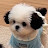 @bigpicture226