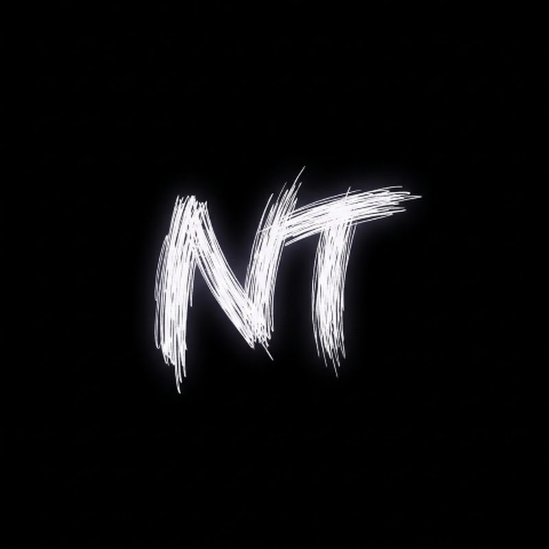 NT GAMER