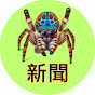 蜘蛛新聞Spider News logo