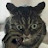 @carbofreak8280's avatar