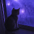AX1f6iDw90A-channel-avatar-Comfort & Silence ♡