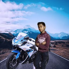 shailesh art