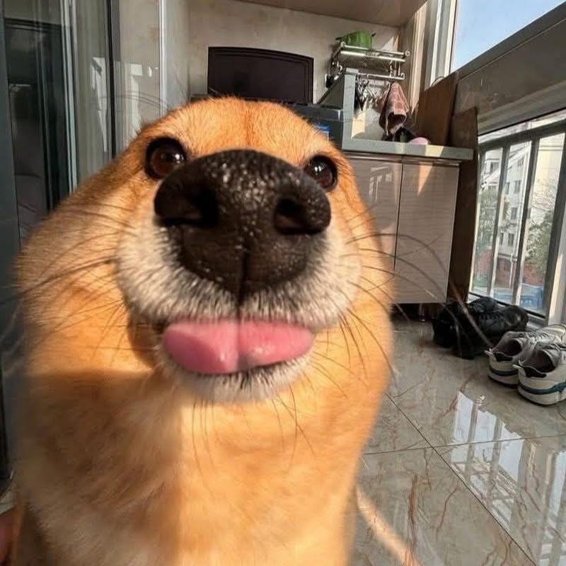 Tiểu Bảo Vietsub